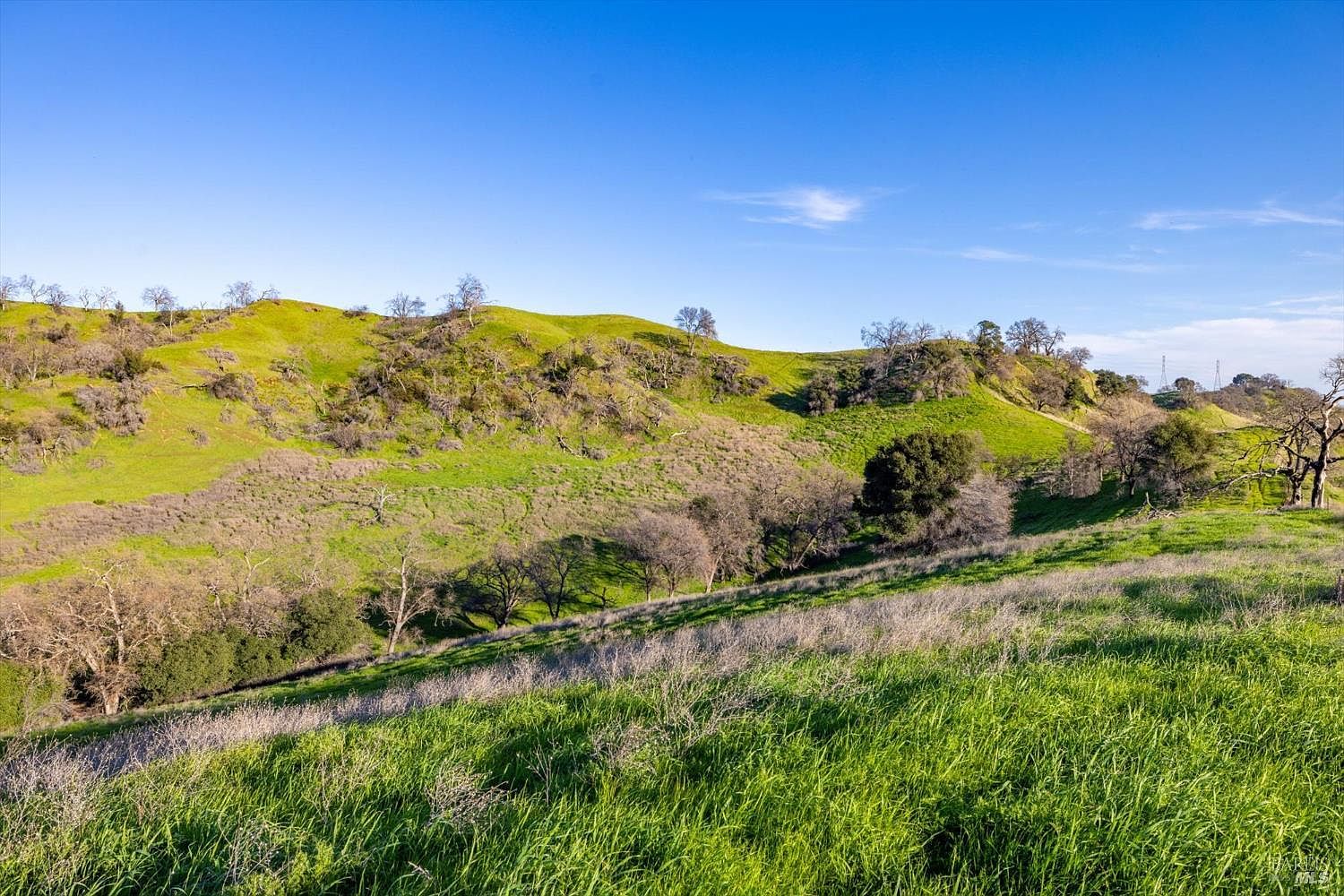 Sweeping rolling hills of 7094 Bucktown Lane in late afternoon, green pasture in the foreground and a distant ridge under clear sky